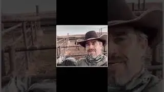 Nutrient Dense Wyoming Beef, Straight to Your Door. Visit www.cartercountrymeats.com #grassfedbeef
