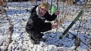 GROTALL 3-Foot Garden Stakes &ndash; Versatile Plant Supports & Markers!