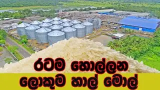 ශ්‍රි ලංකාවේ ලොකුම හාල් මොල් - Largest Rice Mills In Sri Lanka