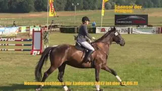 2-Phasen-Springpr&uuml;fung Klasse A** - Ladeburg 2016