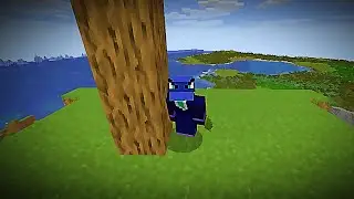 I Started a World I'll Never Delete...