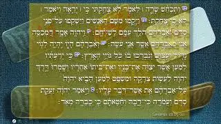 Aliya yomi - vayera 2nd aliyah, translated live from Hebrew and explained וירא עליה ב