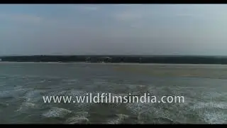 Bakkhali Beach during low tide | 4K Aerials