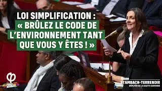 LOI SIMPLIFICATION : « BRÛLEZ LE CODE DE L’ENVIRONNEMENT TANT QUE VOUS Y ÊTES ! »