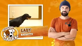 MISSIONE CUCCIOLI Stagione 1 con Simone Dalla Valle - Lady, bassotto
