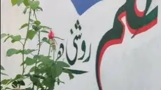 Ilm Roshni hai| Art on Wall علم روشنی ہے |School wall painting| #Urdu #painting #calligaraphy #art
