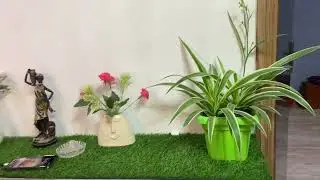 AQI Down! Maine Ghar Ki Hawa Aise Saaf Ki 🌿