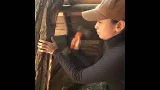 Amazing Girl Crafting Cozy Wooden Shelter | Bushcraft