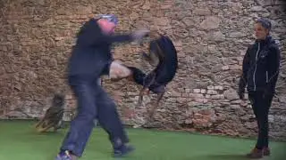 Eržika European K9 training base - 7 months old