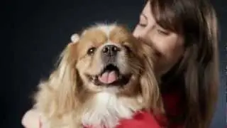 Pets Make Our Lives a Million Times Better (Petco)