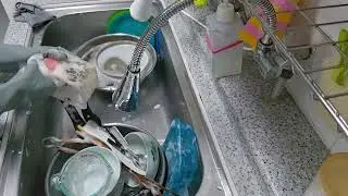 빠르게 설거지