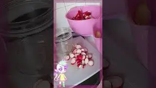 Making Fermented Radish Pickles