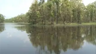 Beeshazar and associated lakes: a must visit RAMSAR Site