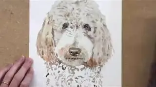 Puppy Time-lapse #2