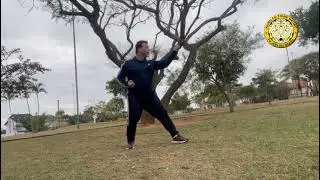 Fu Jow Pai Kung Fu - Forma Tigre Negro