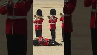 King's #guards #fainted  #royalprincess #uk  #princewilliam #london #parade #hotweather