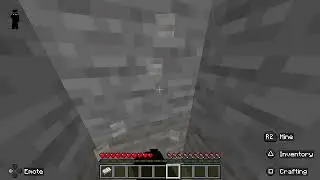 Playing Minecraft