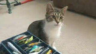 What's inside my tackle box (4 years later)
