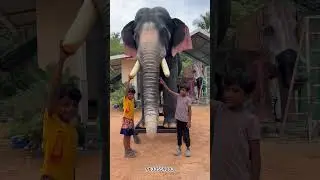 8.5 feet Robotic Elephant | Aanamaker #roboticelephant
