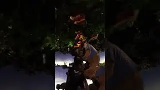 НАСТОЯЩАЯ причина закрытия Splash Mountain