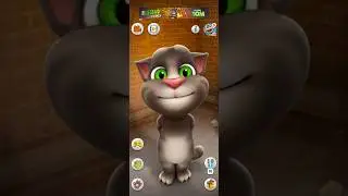 2016 Talking Tom Cat