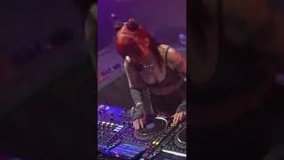 Forestmind | Kosmos Festival