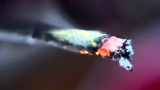 Traekay - So High [Music Video] Preview