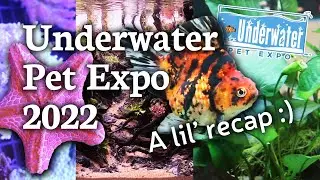 Fishy Expo Recap! Underwater Pet Expo 2022