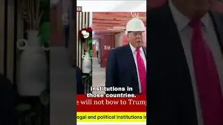 When Strongmen Rise and Checks Fail: Is Trump Following the Authoritarian Playbook?