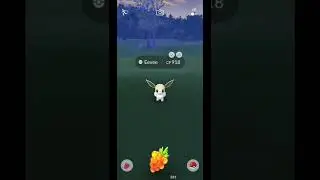 CAUGHT 100 IV SHINY EEVEE | POKEMON GO | #shorts #pokemongo