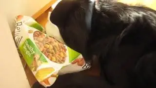 Bear FoodBag