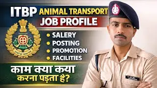 👉 ITBP Animal Transport Job Profile | Salary, Posting, Promotion | Full Details 2026