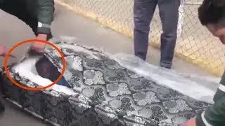 Illegal immigrants hide Inside mattresses to sneak into Spain