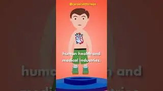Biotechnology vs Biomedical engineering