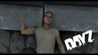 How To Box In DayZ 101