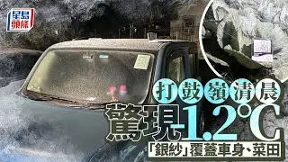 打鼓嶺清晨驚現-1.2°C 「銀紗」覆蓋車身、菜田｜星島頭條新聞｜寒冷天氣警告｜天文台｜HKO｜結霜｜天氣｜新界