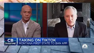 Banning TikTok at a state level 'doesn't make sense', says Craft Ventures' David Sacks