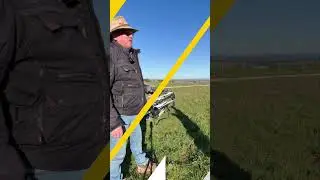 Dubbo and Dunedoo