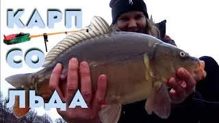 КАРП ЗИМОЙ НА МОРМЫШКУ!!! КАК СЛОВИТЬ КАРПА ЗИМОЙ СО ЛЬДА!!! ЛОВЛЯ НА БАЛАЛАЙКУ!!!