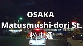 OSAKA JAPAN Night Drive St.&Ave. 43 Matsumushi-dori St.大阪 松虫通 2020