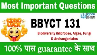 Bbyct 131 Important questions | ignou Bbyct Important questions
