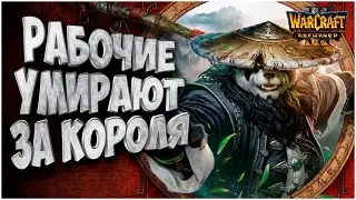 Рабочие умирают за Короля: Sok (Hum) vs Fly100% (Orc) Warcraft 3 Reforged
