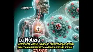 News. Anthrobot. Cellule umane trasformate per ripulire placche e danni midollo spinale e retina