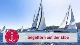 Segelt&ouml;rn auf der Elbe