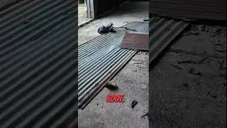 Mastering Stealth: Using Debris For Alarm System! #shorts