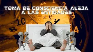 SERES GRISES EN SU CAMA