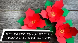НОВОГОДНИЙ декор / ПУАНСЕТТИЯ своими руками  за 5 минут/ DIY GOGAMOT/ DIY paper Poinsettia in 5 min