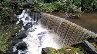 The Nature Report; Crazy Waterfall, Skipton Castle Woods. ☮️This Is Real⚓️