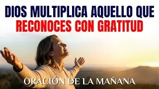 Declara gratitud antes de todo y observa cómo las bendiciones se multiplican hoy