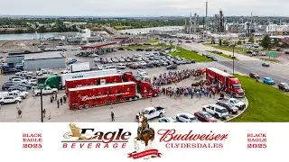Eagle Beverage Presents the Budweiser Clydesdales: Black Eagle - 2025